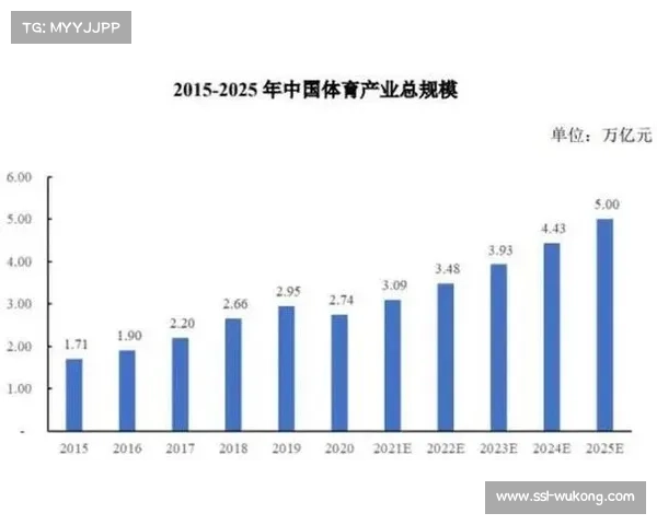 中国品牌崛起羽毛球市场高端线价格上涨20%引发行业关注