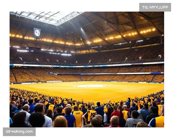 多特蒙德南看台扩建完工 创下新助威声浪纪录