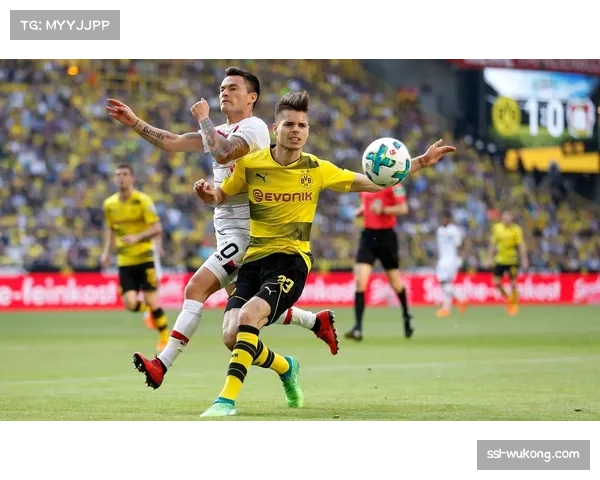 德甲电竞联赛圆满落幕 多特蒙德粉丝团队技压群雄勇夺冠军